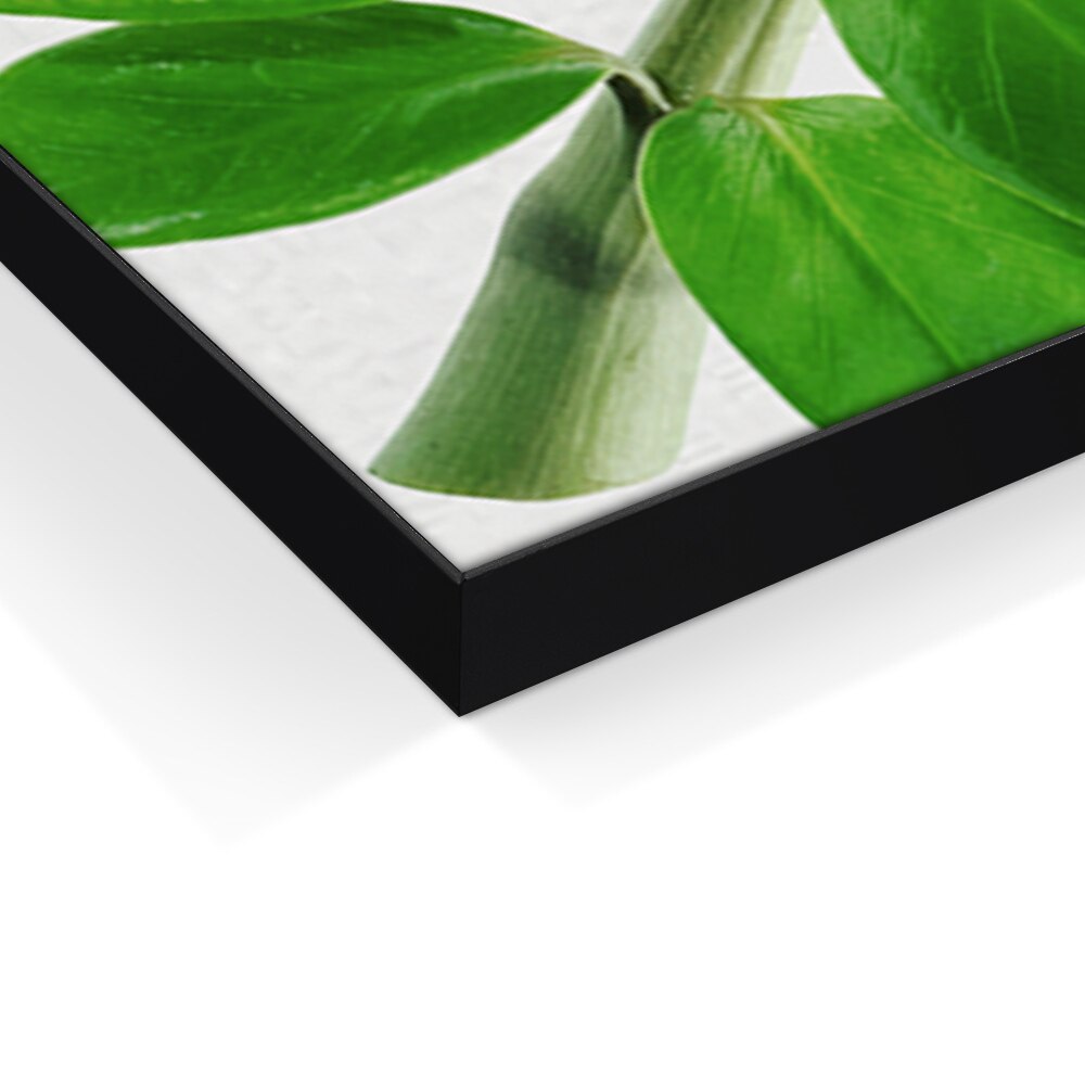 Aspen Slim Black Fabric Frames - Wall Mounted 3 Pack (19MM SEG Extrusion) — Graphic Package / 22 In Width x 36 In Height